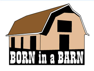 Born In A Barn/Ambush Tactics Play Progression Session