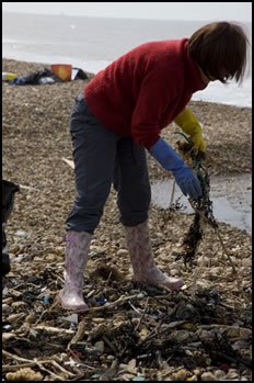 Beach Clean Tomorrow