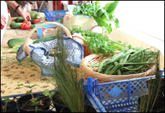 Ventnor Community Cafe: Local Produce Sale 