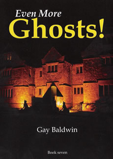 Gay Baldwin: Ghost Stories Come To VentnorBlog 