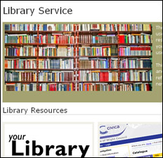 Library Service Could Be Reduced To One Library: Unconfirmed