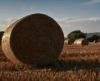 Straw bales by Jason Grant: