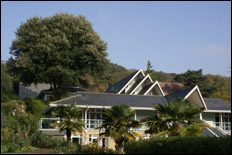 Ventnor Botanic Garden: Public Meeting Report