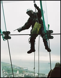 Calling All Window Cleaners